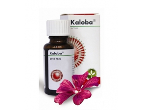 Kaloba gtt por (liek.) 1x50 ml