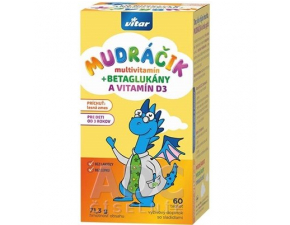 VITAR MUDRÁČIK multivitamín + BETAGLUKÁNY tbl s vitamínom D3 a rakytníkom, príchuť lesná zmes 1x60 ks
